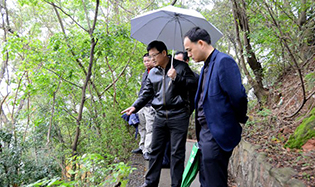 市文廣新局領(lǐng)導到我館調(diào)研龜峰塔保護及安防更新改造工程