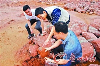 “龍蛋共處”見(jiàn)證恐龍末日
