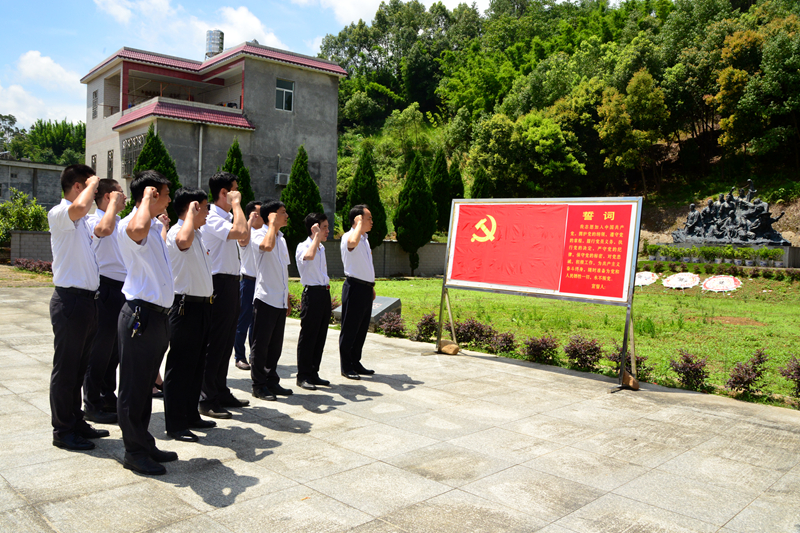 市博物館組織黨員到紫金蘇區(qū)開(kāi)展主題黨日活動(dòng)