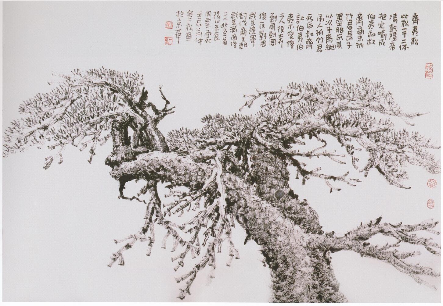 展覽預(yù)告：來(lái)博物館品讀塞北松情