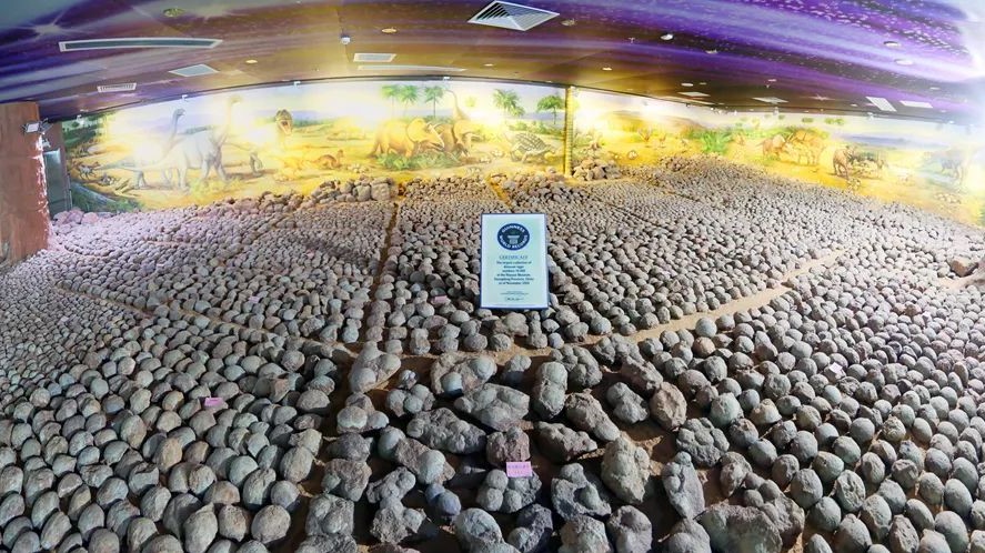 龍聚河源 | 短視頻：第四集《驚嘆！恐龍蛋館藏世界第一》