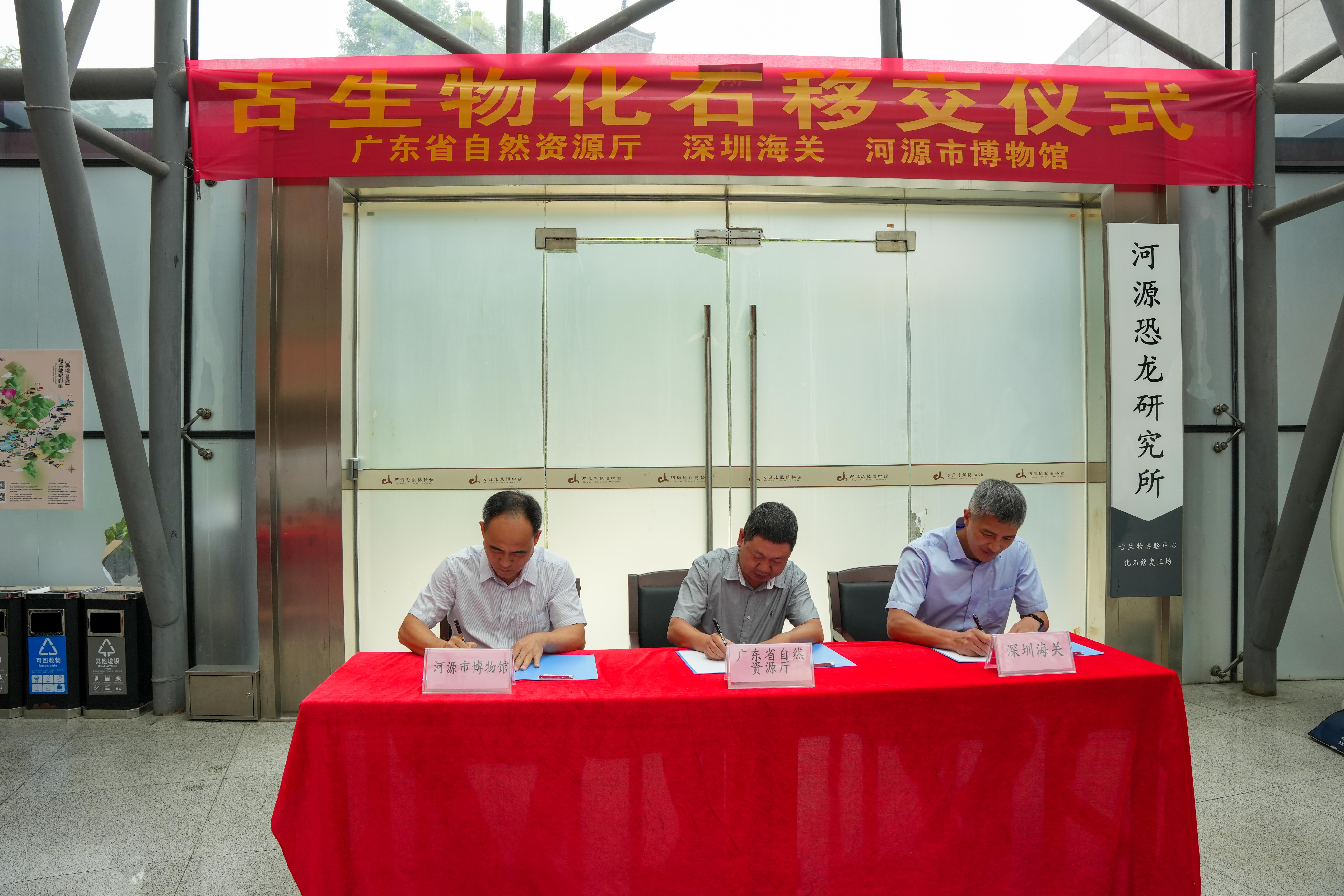 廣東省自然資源廳與深圳海關(guān)聯(lián)合向河源市博物館移交古生物化石一批